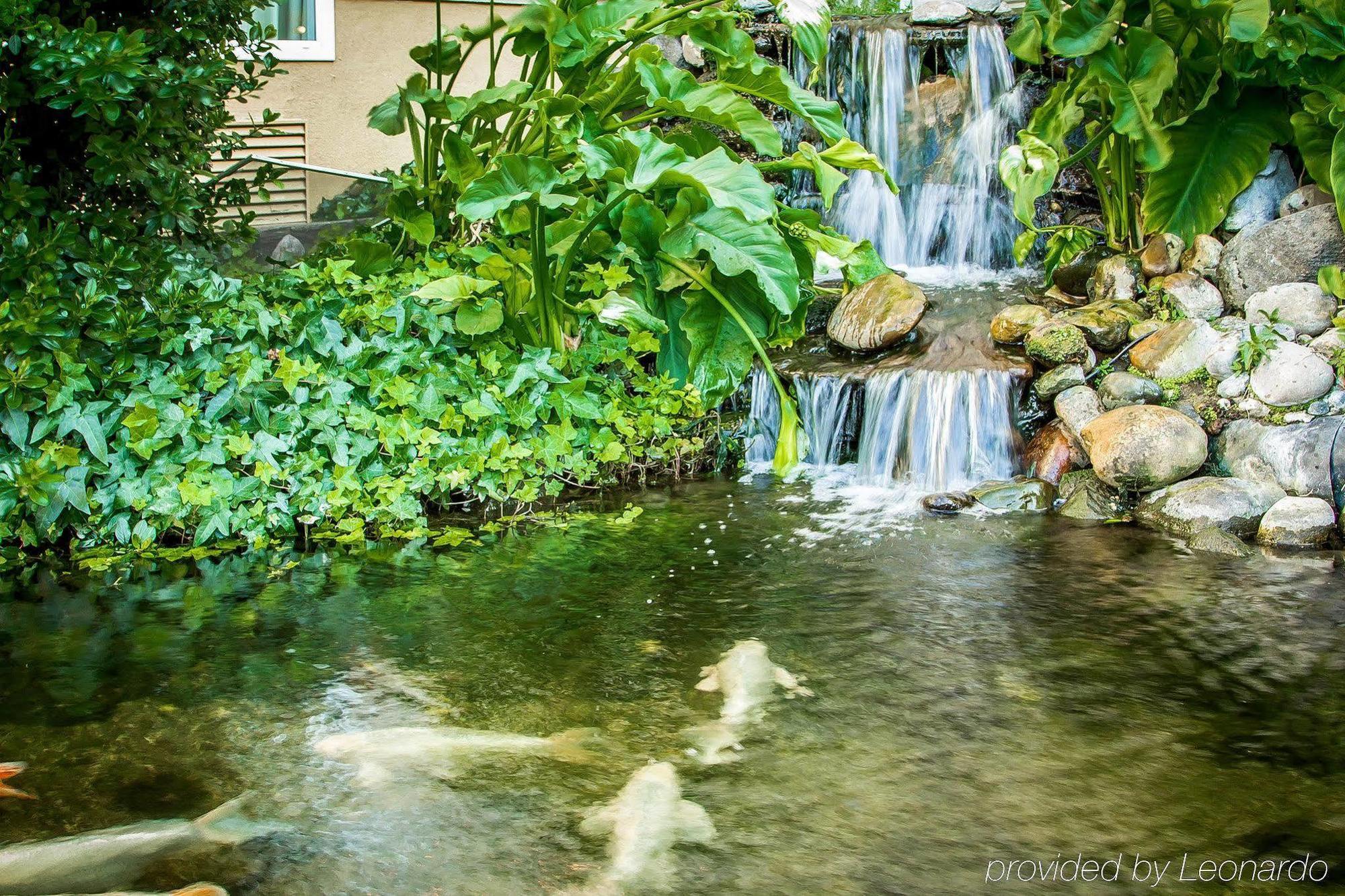 Comfort Inn Modesto Exterior foto